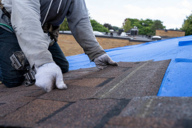 Best Local Roofing Companies  in South Les, AK