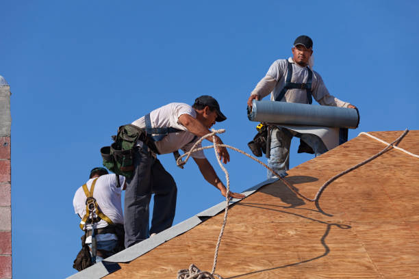 Professional Roofing Contractor in South Lakes, AK